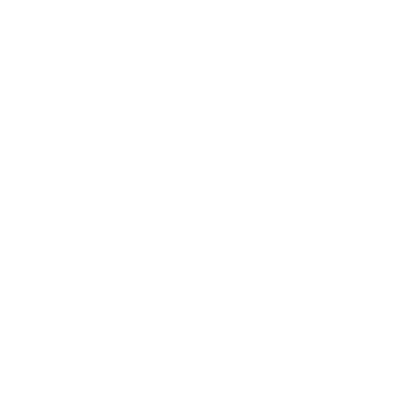 Ibmec