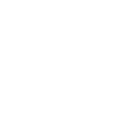 MSW Capital
