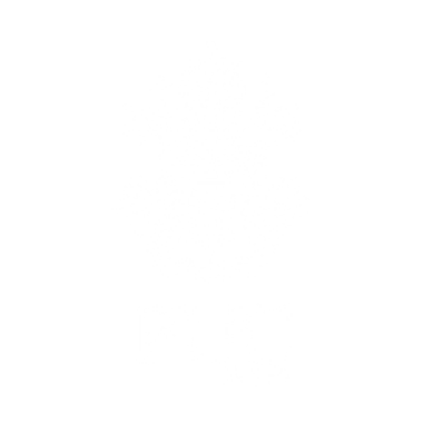 PUC Rio